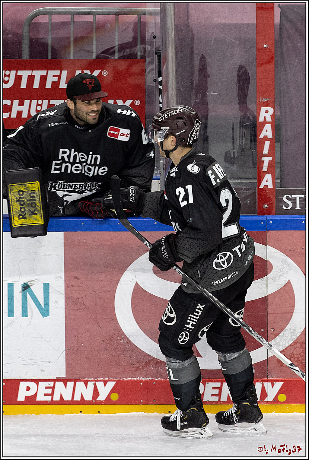 PENNY DEL;  Koelner Haie - Adler Mannheim; Koeln, 08.04.2021
